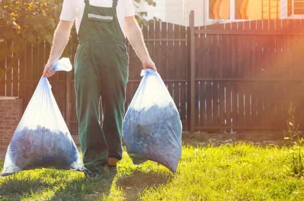 Debris Removal in Carthage, MO